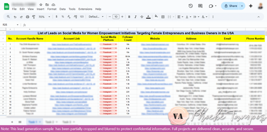 Spreadsheet showing verified social media leads for women empowerment programs, featuring female entrepreneurs and business owners from the USA